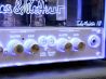 Hughes & Kettner Tube Meister 18 Head ボディー正面 サムネイル