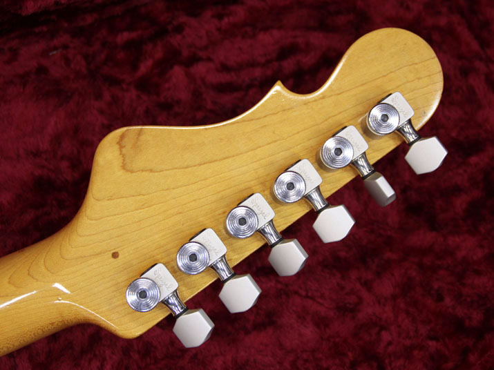 G&L SKYHAWK F-100 Convertion 10