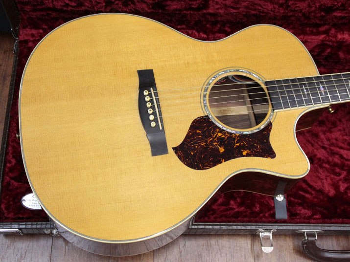 Martin Performing Artist Series GPCPA2 2