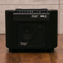 Acoustic Image Model 411 AA Coda R Series 2a 全体正面 サムネイル