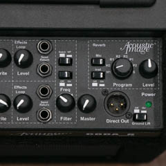 Acoustic Image Model 411 AA Coda R Series 2a ボディー正面 サムネイル
