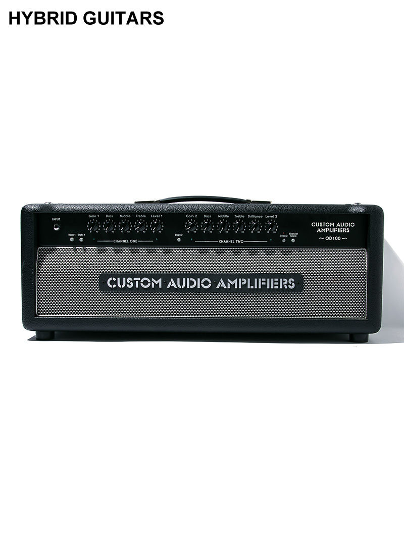 Custom Audio Amplifiers OD100 Classic 1