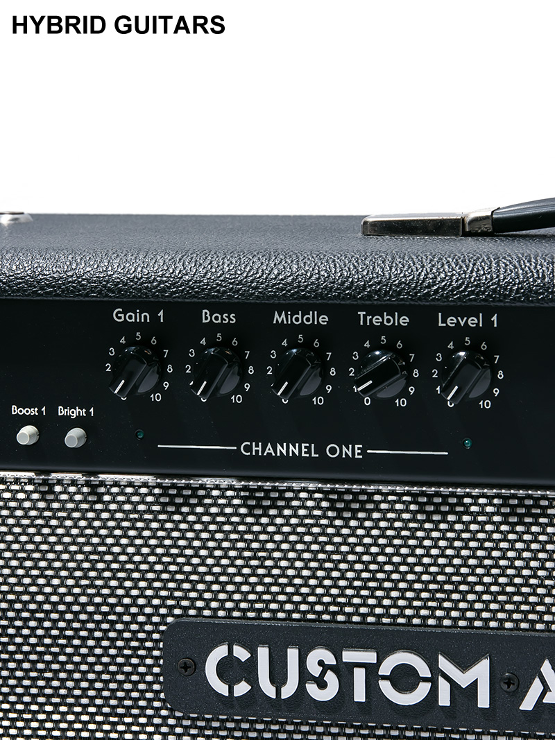 Custom Audio Amplifiers OD100 Classic 2