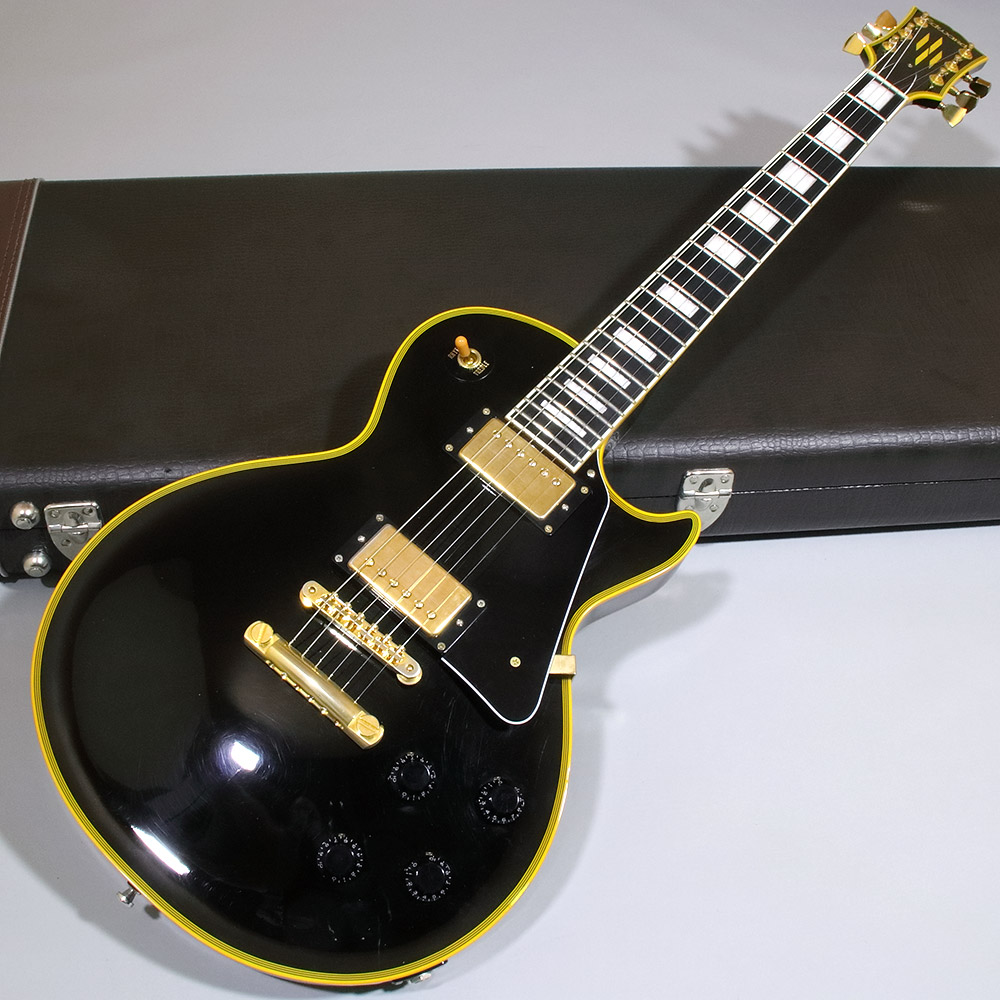 Edwards E-LP-130ALC 1