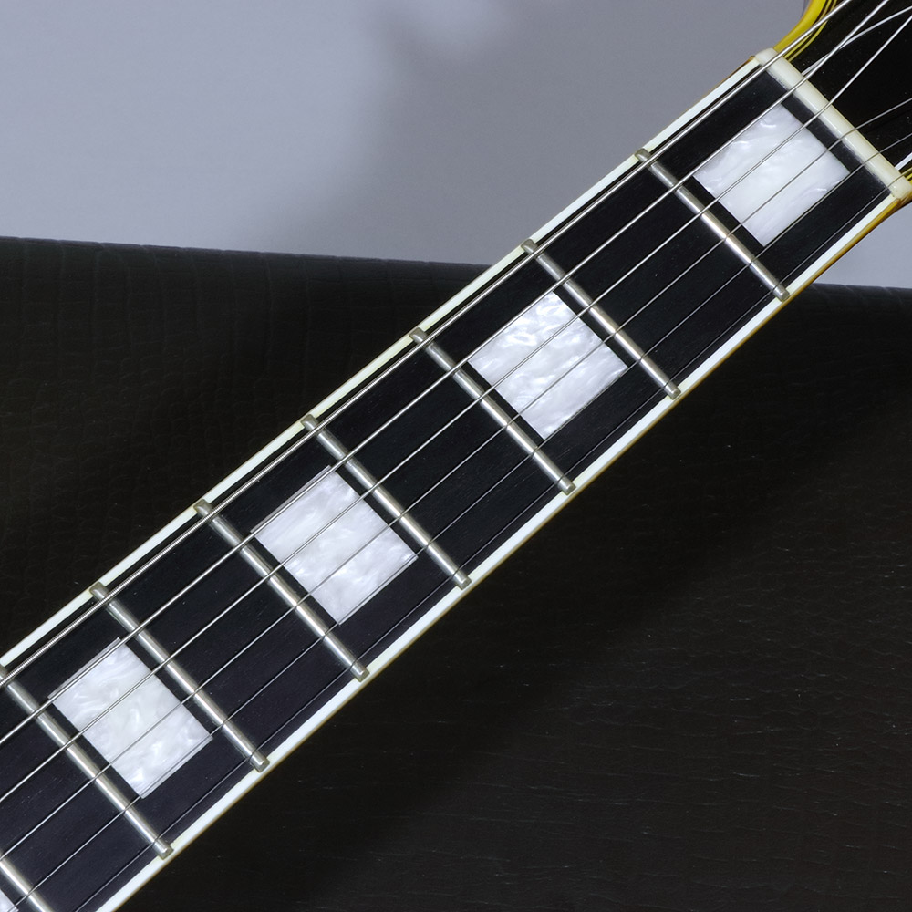 Edwards E-LP-130ALC 10