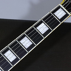Edwards E-LP-130ALC 写真10 サムネイル