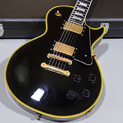 Edwards E-LP-130ALC 全体裏面 サムネイル