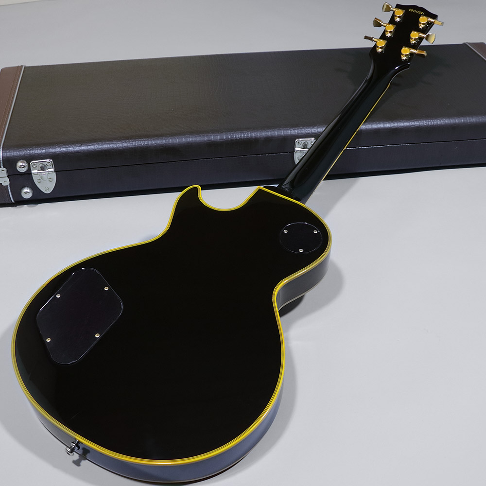 Edwards E-LP-130ALC 3