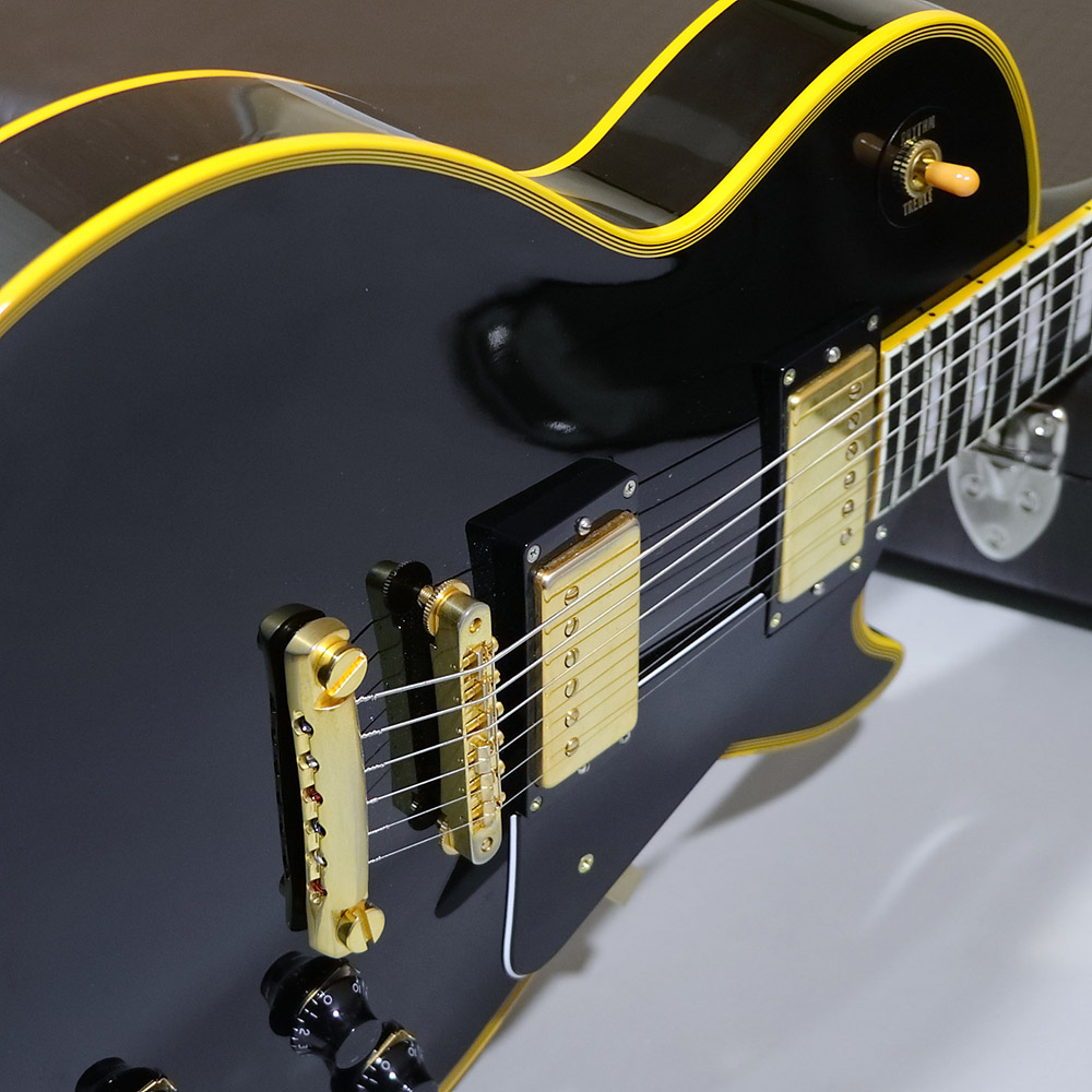 Edwards E-LP-130ALC 6