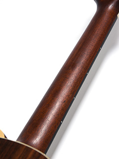 TACOMA ER19C ネック サムネイル