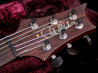 Paul Reed Smith(PRS) Private Stock Paul's 28 写真12 サムネイル