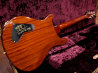 Paul Reed Smith(PRS) Private Stock Paul's 28 ヘッド裏面 サムネイル