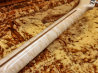 Crews Maniac Sound Custom Order Stratocaster Figured Burl Maple ヘッド裏面 サムネイル