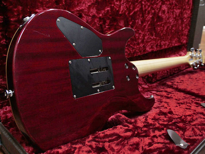 Fujigen Expert Elan Trans Red  EEL-FM-TR 2