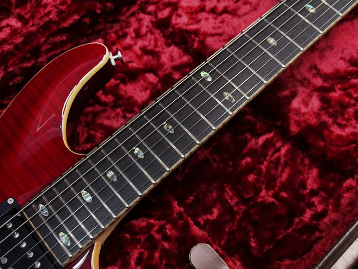 Fujigen Expert Elan Trans Red  EEL-FM-TR 5