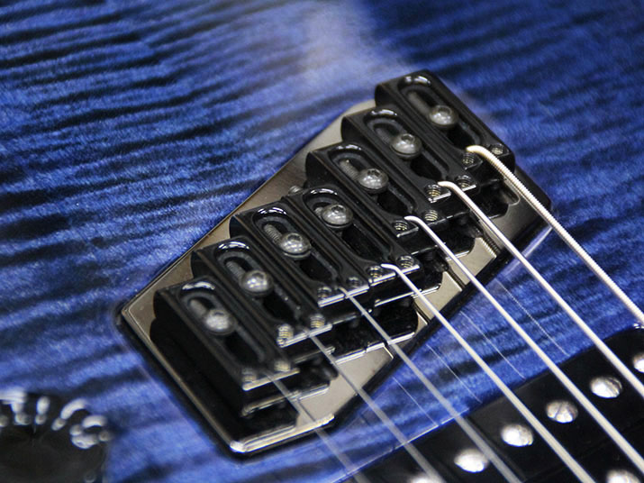 Mayones REGIUS-7-VF Trans Dirty Blue 10