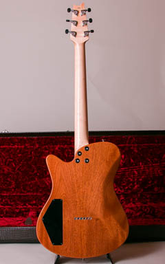 John Page Guitars AJ-Custom Avalon Binding 全体裏面 サムネイル