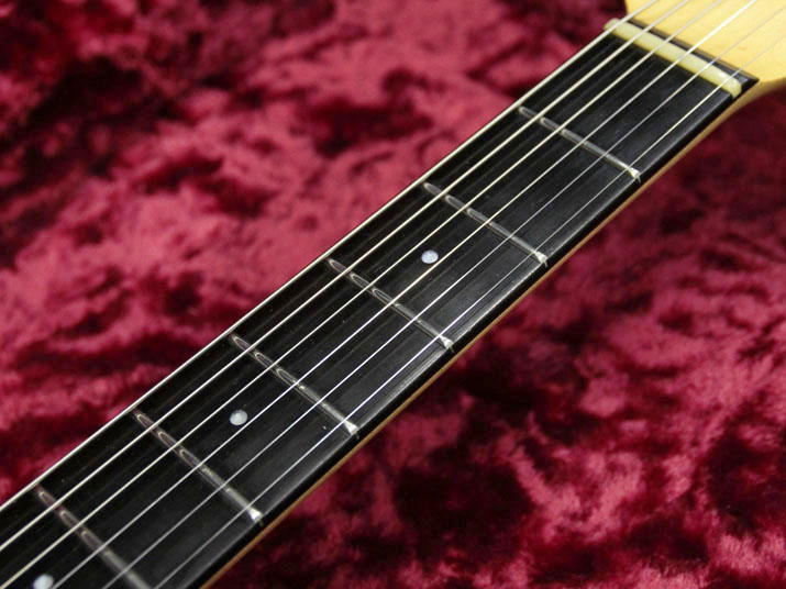 Moon CST-234B ST Type HSH  Amber Natural Mod 5