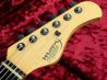 Moon CST-234B ST Type HSH  Amber Natural Mod 指板 サムネイル
