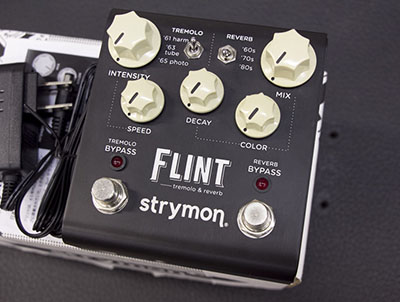 Strymon FLINT