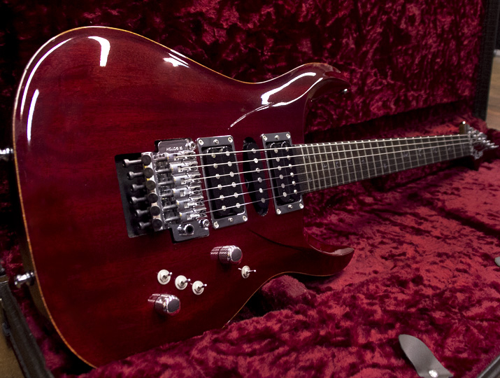 G-Life Guitars DSG Life-Mahogany Limited Trans Red 1