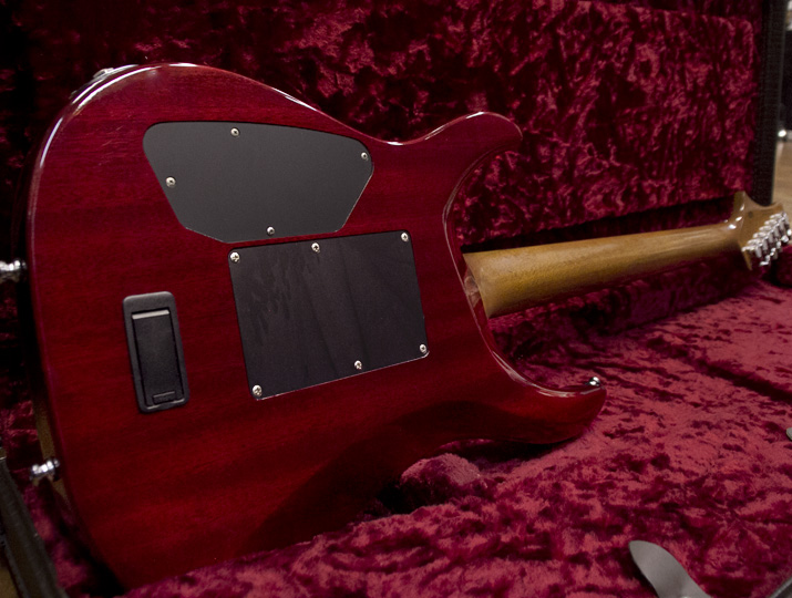 G-Life Guitars DSG Life-Mahogany Limited Trans Red 2