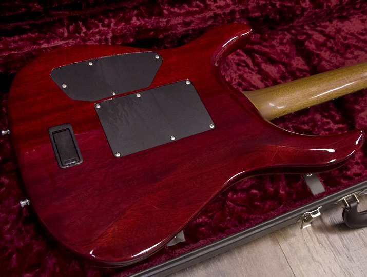 G-Life Guitars DSG Life-Mahogany Limited Trans Red 4