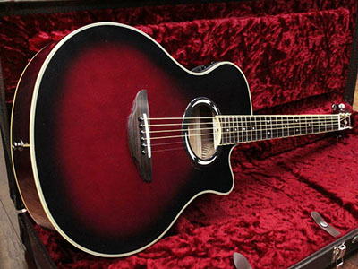YAMAHA APX-500III DSR