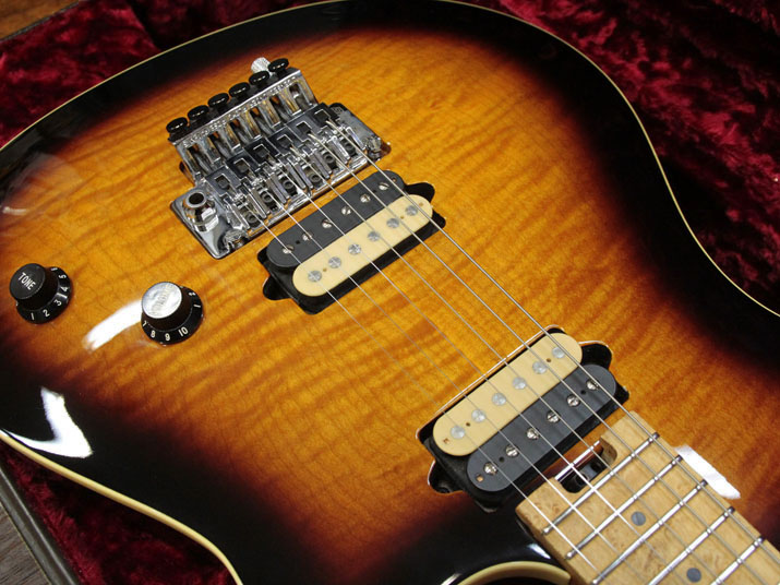 PEAVEY USA EVH Wolfgang Flame Top Tobacco Sunburst 9