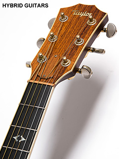 Taylor 810 ヘッド正面 サムネイル