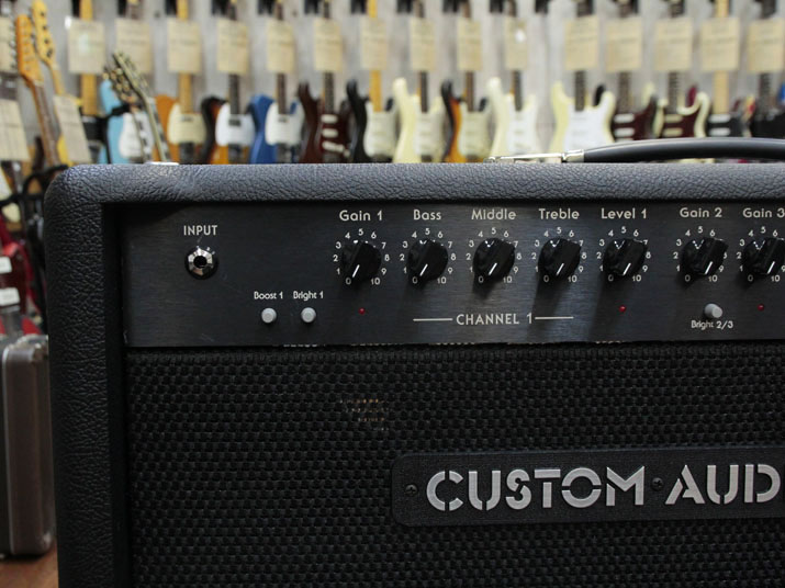 Custom Audio Amplifiers PT-100 Head 2