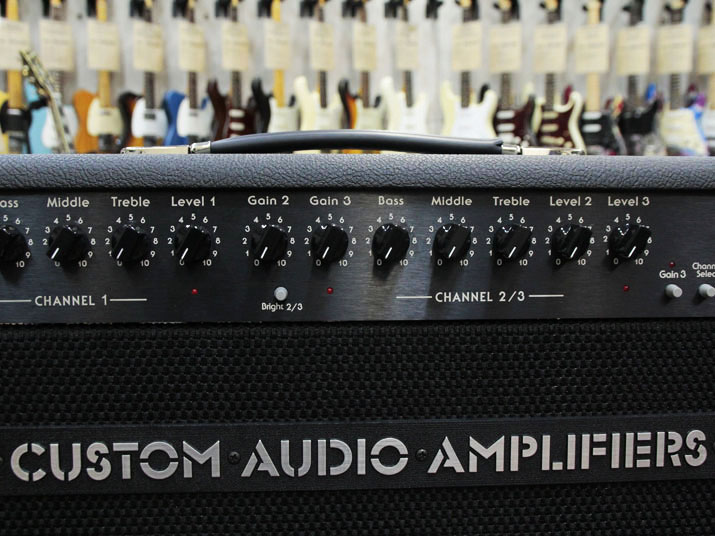 Custom Audio Amplifiers PT-100 Head 3