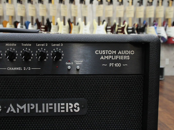 Custom Audio Amplifiers PT-100 Head 4
