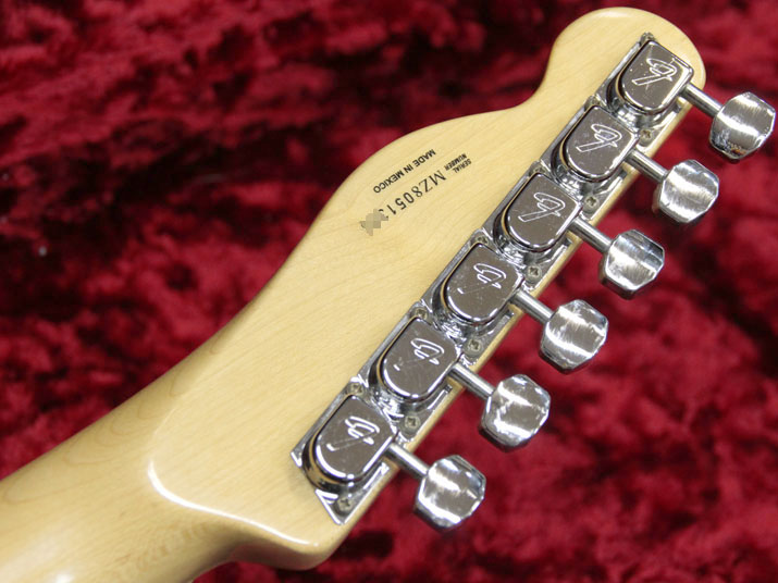 Fender Mexico Telecaster Thinline Natural 6