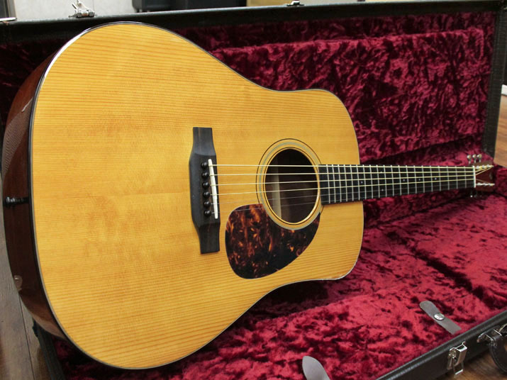 Breedlove DM-Deluxe 1