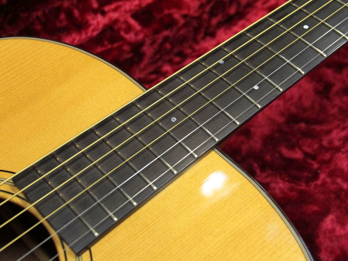 Breedlove DM-Deluxe 8