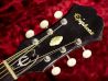 Epiphone FT79N TEXAN 1964  ヘッド裏面 サムネイル