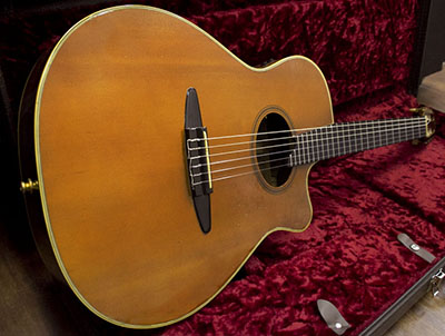 YAMAHA APX-6N
