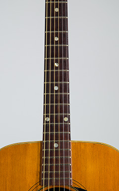 Master Dreadnought Type Acoustic Guitar 指板 サムネイル