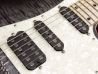 Tom Anderson Guardian Angel Satin Transparent Black Burst with Binding ネック サムネイル