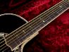 Ovation C2079 LX ヘッド裏面 サムネイル