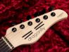 dragonfly Hi-Sta Full Size Cocobolo Custom Oil Finish 指板 サムネイル