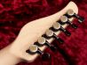 dragonfly Hi-Sta Full Size Cocobolo Custom Oil Finish ネック サムネイル