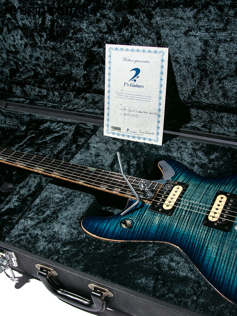 T's Guitars Arc-Special Custom Order Arctic Blue   11