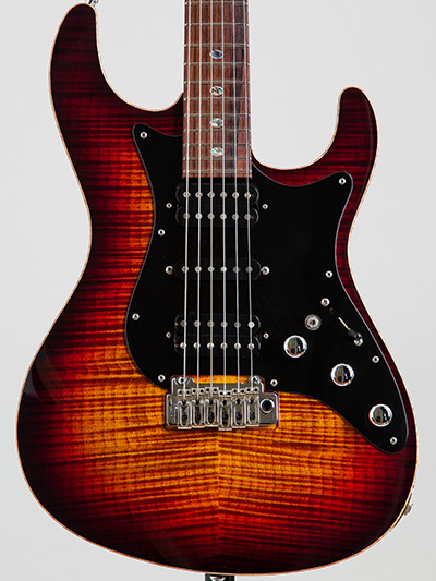 Freedom Custom Guitar Research HYDRA 2-Point Flame Top HD(日の出)
