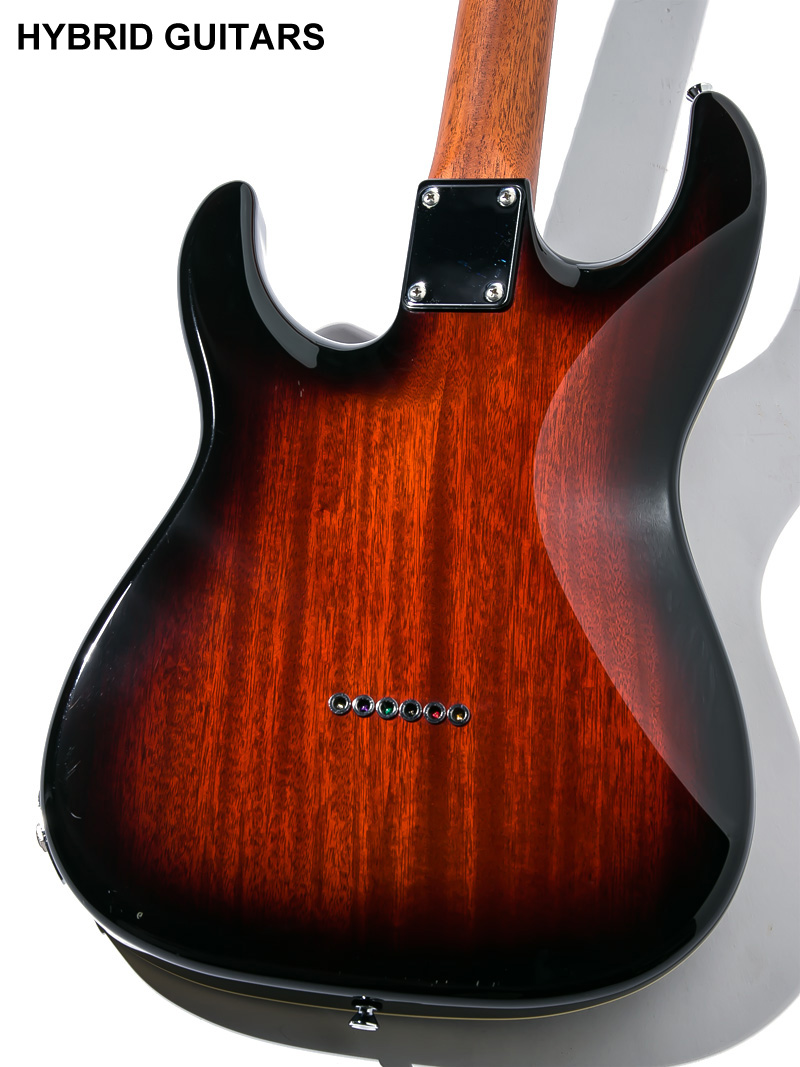 James Tyler Studio Elite HD-P Spalted Flame Maple Tabacco Sunburst 4