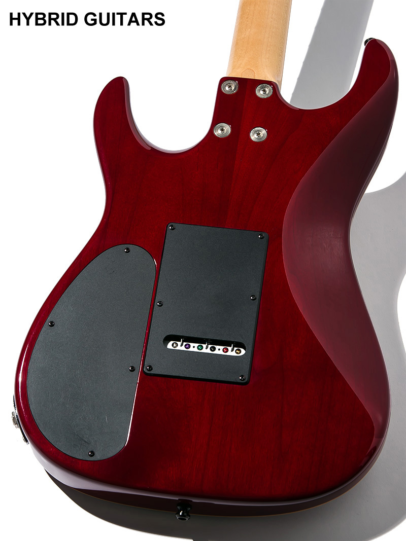 Sadowsky TYO Modern Edge Strat EMG Black Cherry 4