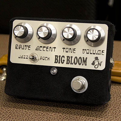 Amplified Nation BIG BLOOM