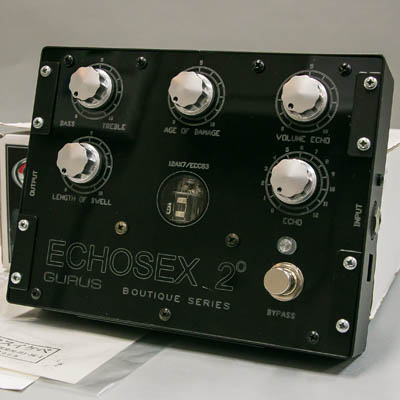 Gurus Amp Echosex2