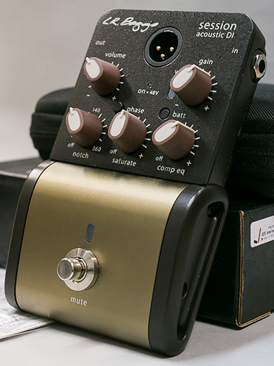 L.R. Baggs Session DI